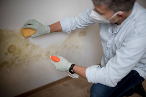 Best Industrial Mold Remediation in Cecil Bishop, PA